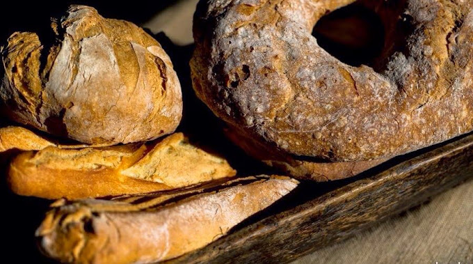 pan hecho en domus panis